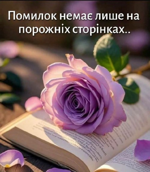 Мудрі слова