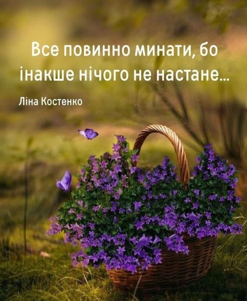 Мудрі слова