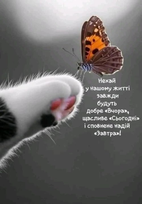 Побажання