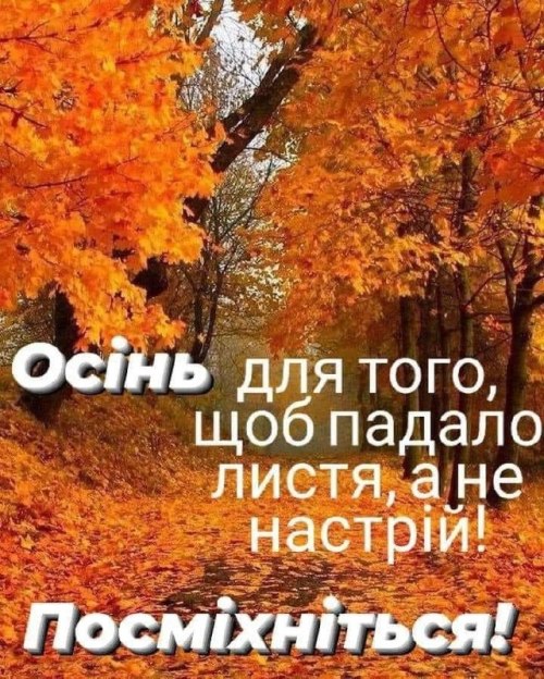 Мудрі слова