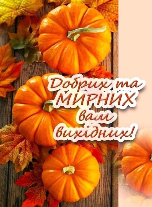 побажання, вихідні
