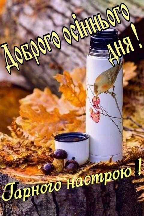 Гарного дня