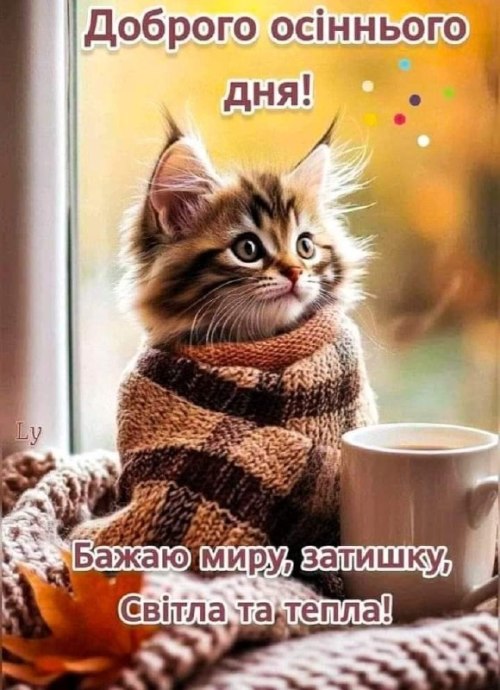 Гарного дня