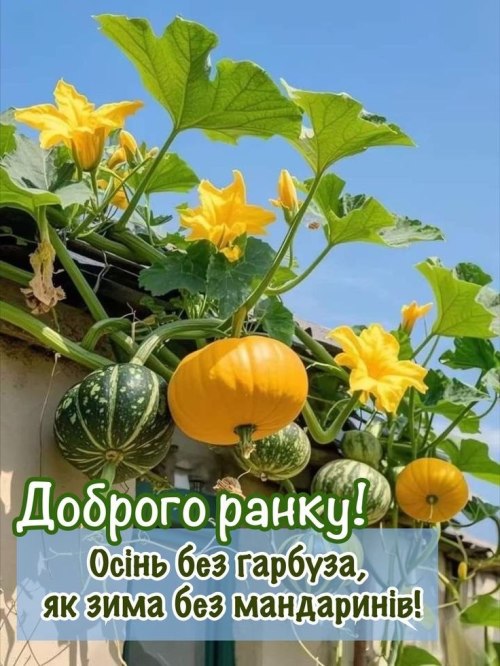 Доброго ранку