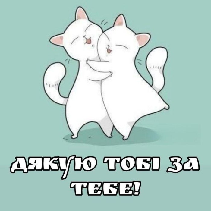 любов