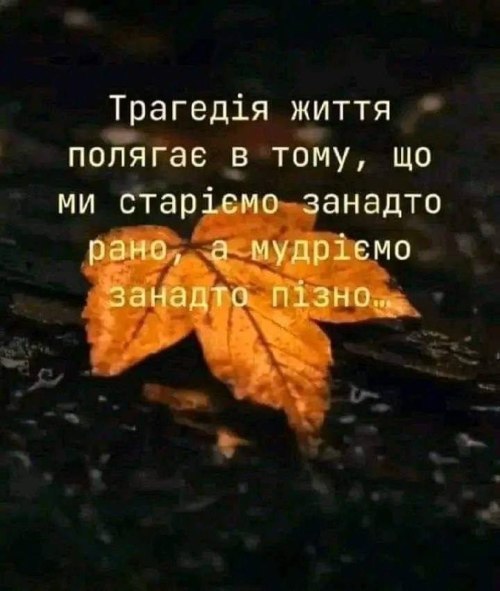 Мудрі слова