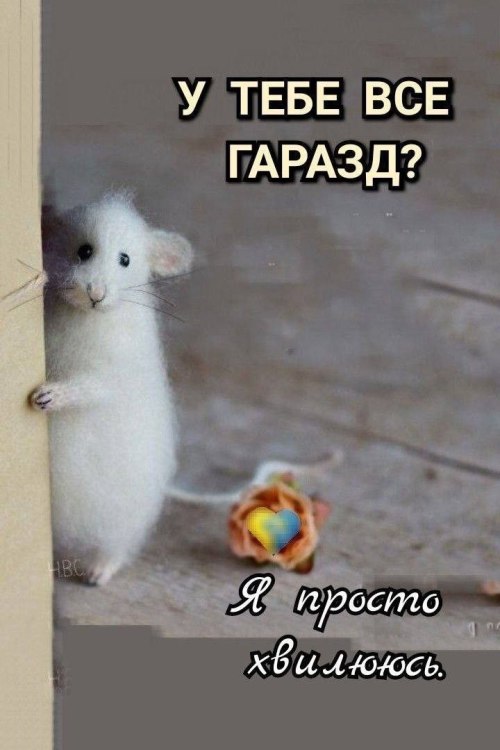 Привіт