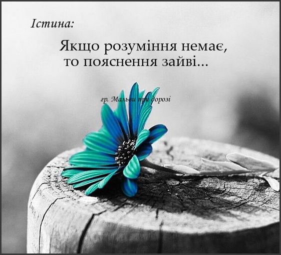 Мудрі слова