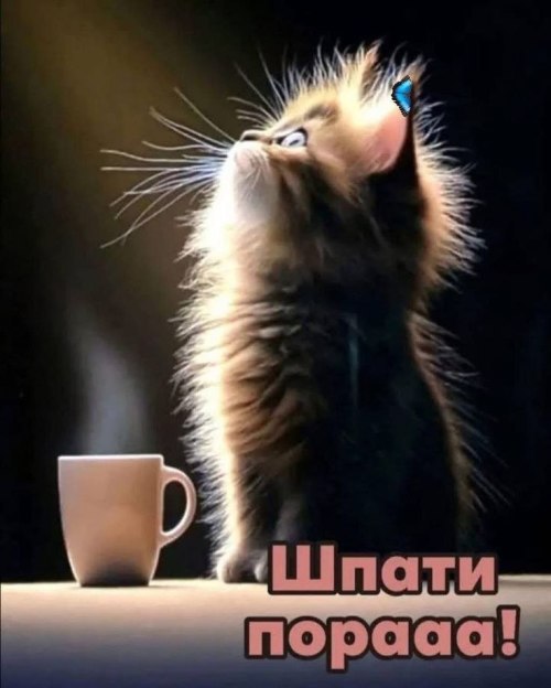 свята, свято, історія свята, З днем народження