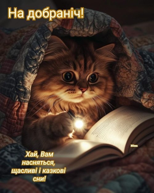 свята, свято, історія свята, З днем народження