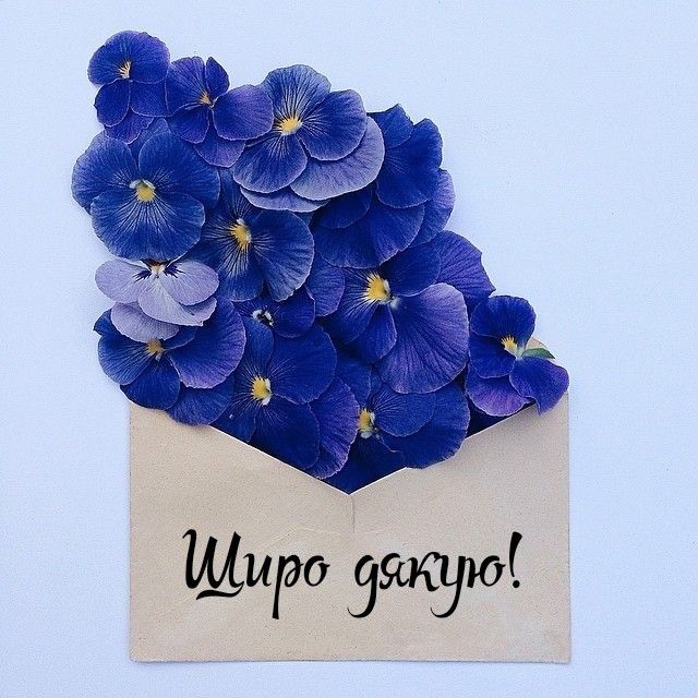 Дякую