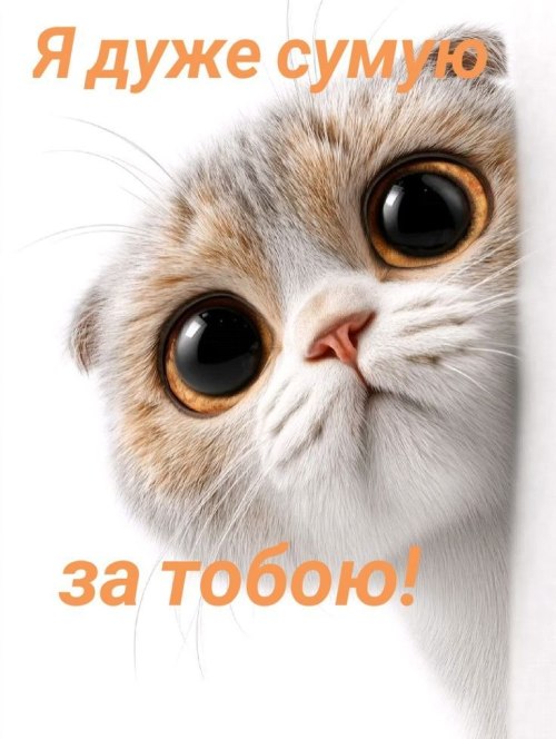 Любов