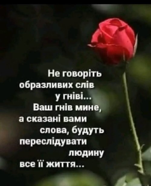 Мудрі слова