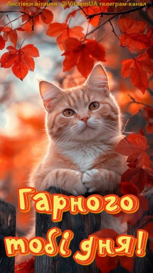 Гарного дня