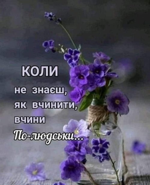 Мудрі слова