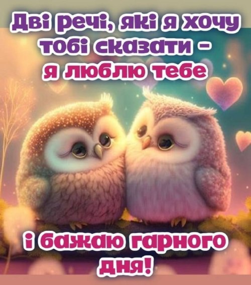любов