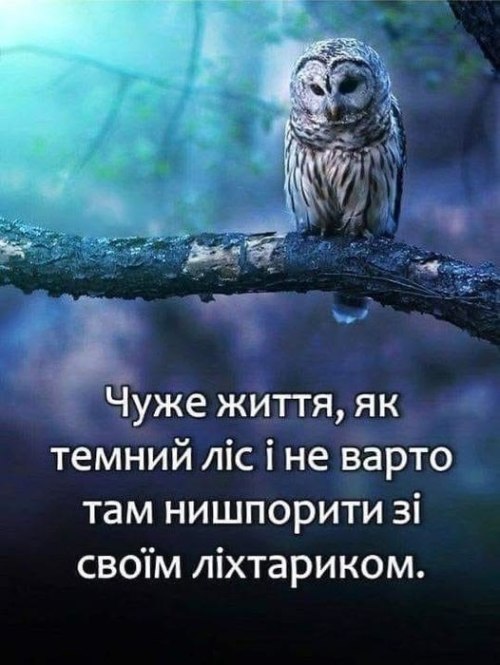 Мудрі слова
