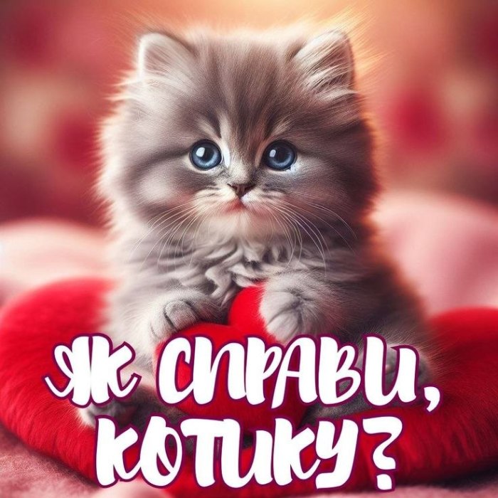 Привіт