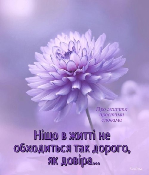 Мудрі слова