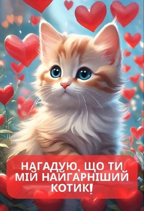 любов