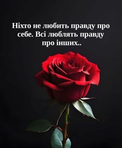 Мудрі слова