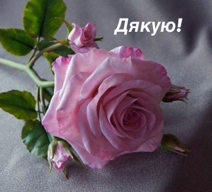 Дякую