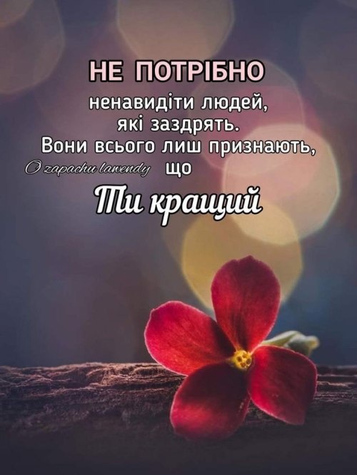 Мудрі слова