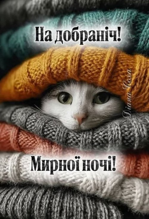 свята, свято, історія свята, З днем народження